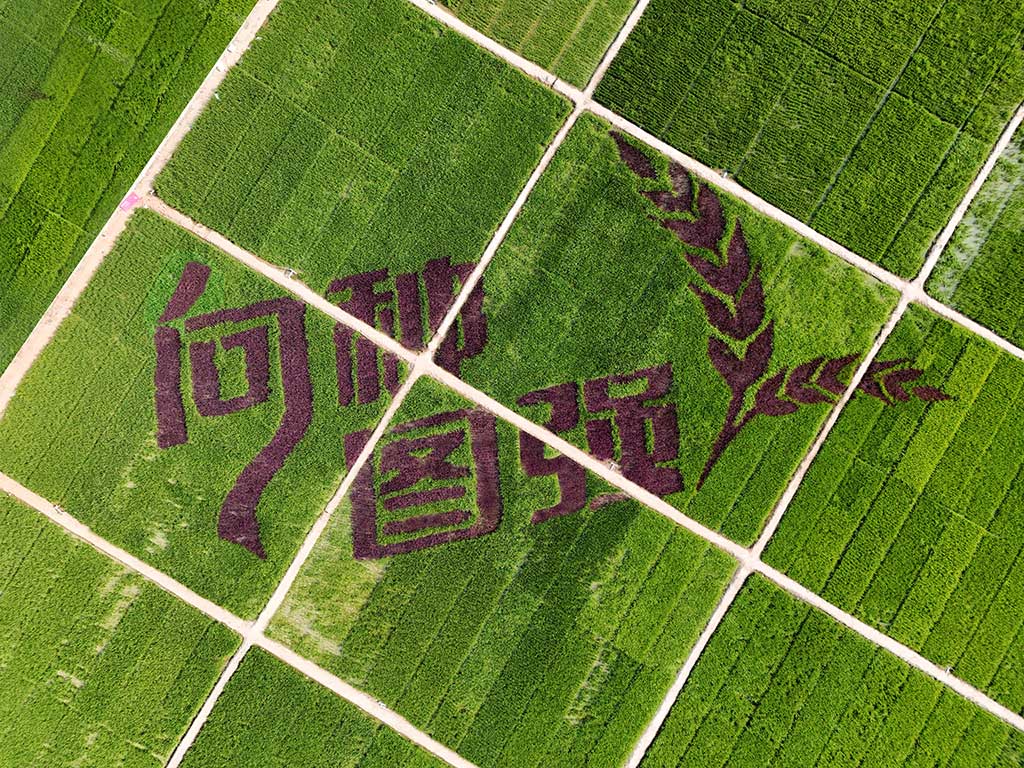 公司介紹